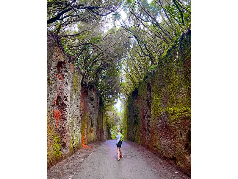 Anaga Rural Park, Tenerife, Canary Islands, Spain