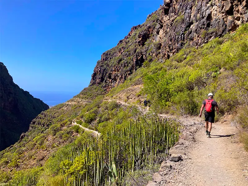 Barranco del Infierno, Tenerife, Canary Islands