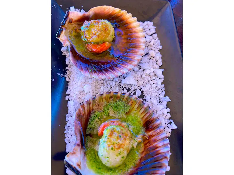 Delicious seafood scallops in the shell