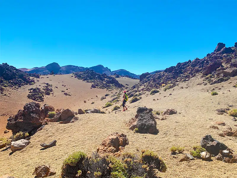 Mount El Teide National Park, Tenerife, Canary Island, Spain, Europe
