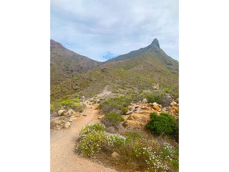 Roque Imoque walking tour south Tenerife