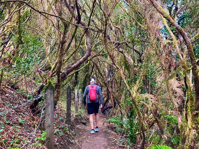 Rural Park of Anaga, Tenerife