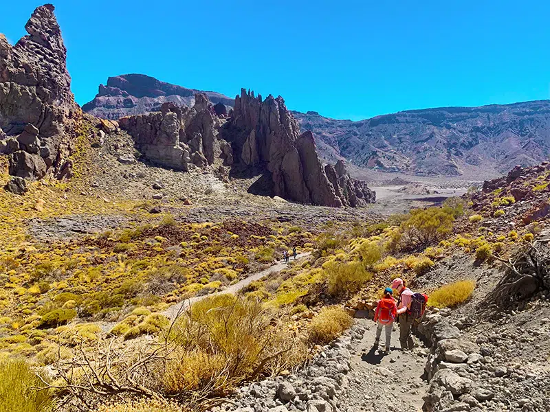 Teide National Park Canary Islands tenerife