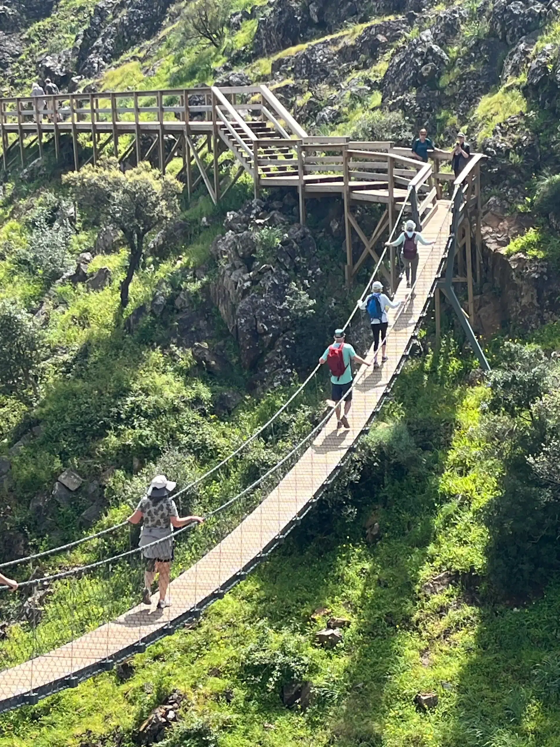 Hanging bridge near Monchique, Portugal